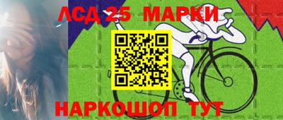 гашик Будённовск