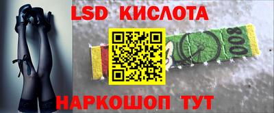 гашик Будённовск