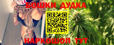 гашик Будённовск