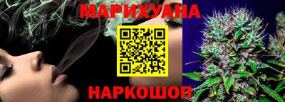 гашик Будённовск