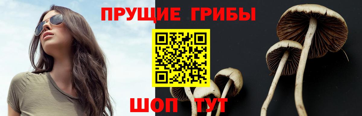 Галлюциногенные грибы Cubensis Стерлитамак